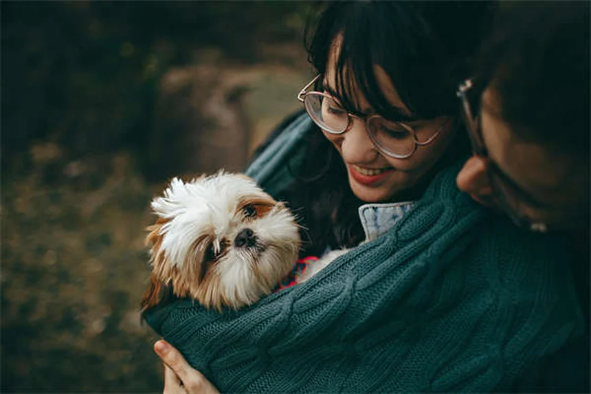 猫は恥ずかしいと思う？科学的に解明した真実と飼い主の心構え